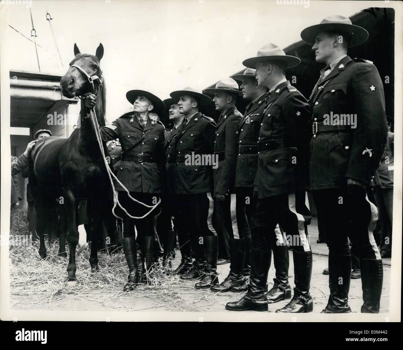 May 05, 1953 - The Mounties Go To Meet Their Horses.. Sgt. Jim Fahie Brings ''Eagle'' Ashore: Members of the Royal Canadian Mounted Police who arrived ion this country recently part in the Coronation Processions - today went to the Royal Albert Docks to meet their horses which arrived aboard the C.P.R. Vessel Beaverburn. Photo Shows Sgt. Jim Fahie of Ottawa leads out his mount ''Eagle'' from the sling - while his colleagues await the lending of their mounts at the Docks this afternoon. Stock Photo