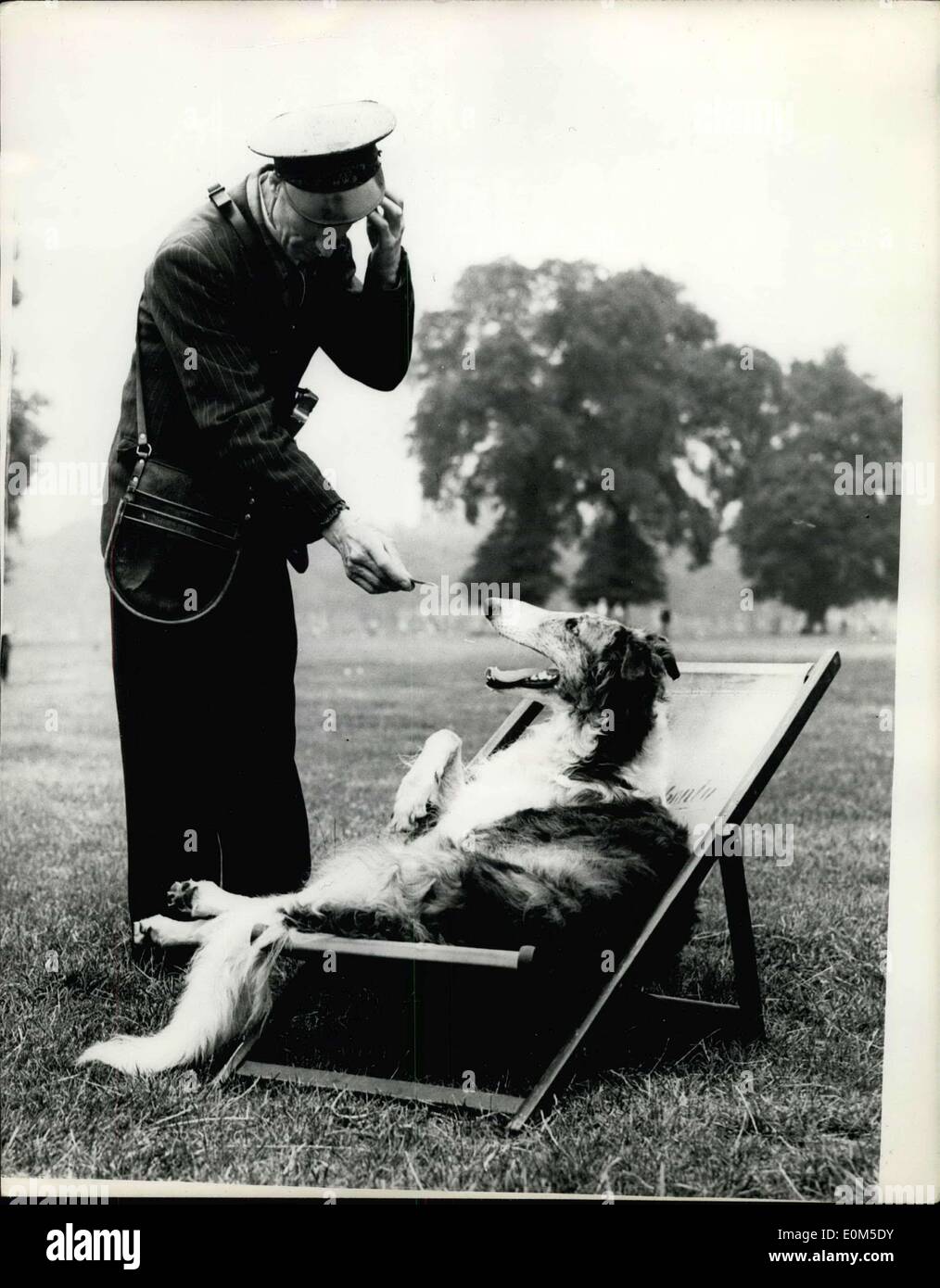 Aug. 11, 1953 - Cool - But Not Collected: Never does a deck-chair look more inviting than on a hot day. But you'll agree with the puzzled ticket collector there isn't a dog's chance of making the borsoi pay. Yet who would have the heart to turn the squatter out? Stock Photo