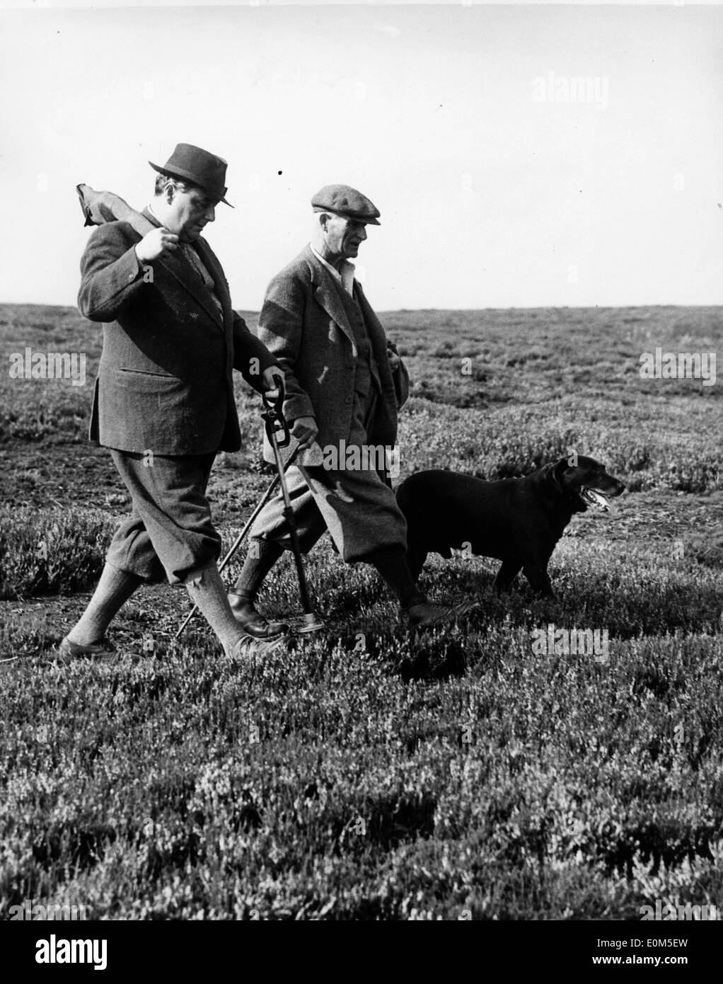 Sir Thomas Dugdale out with a friend walking a dog Stock Photo
