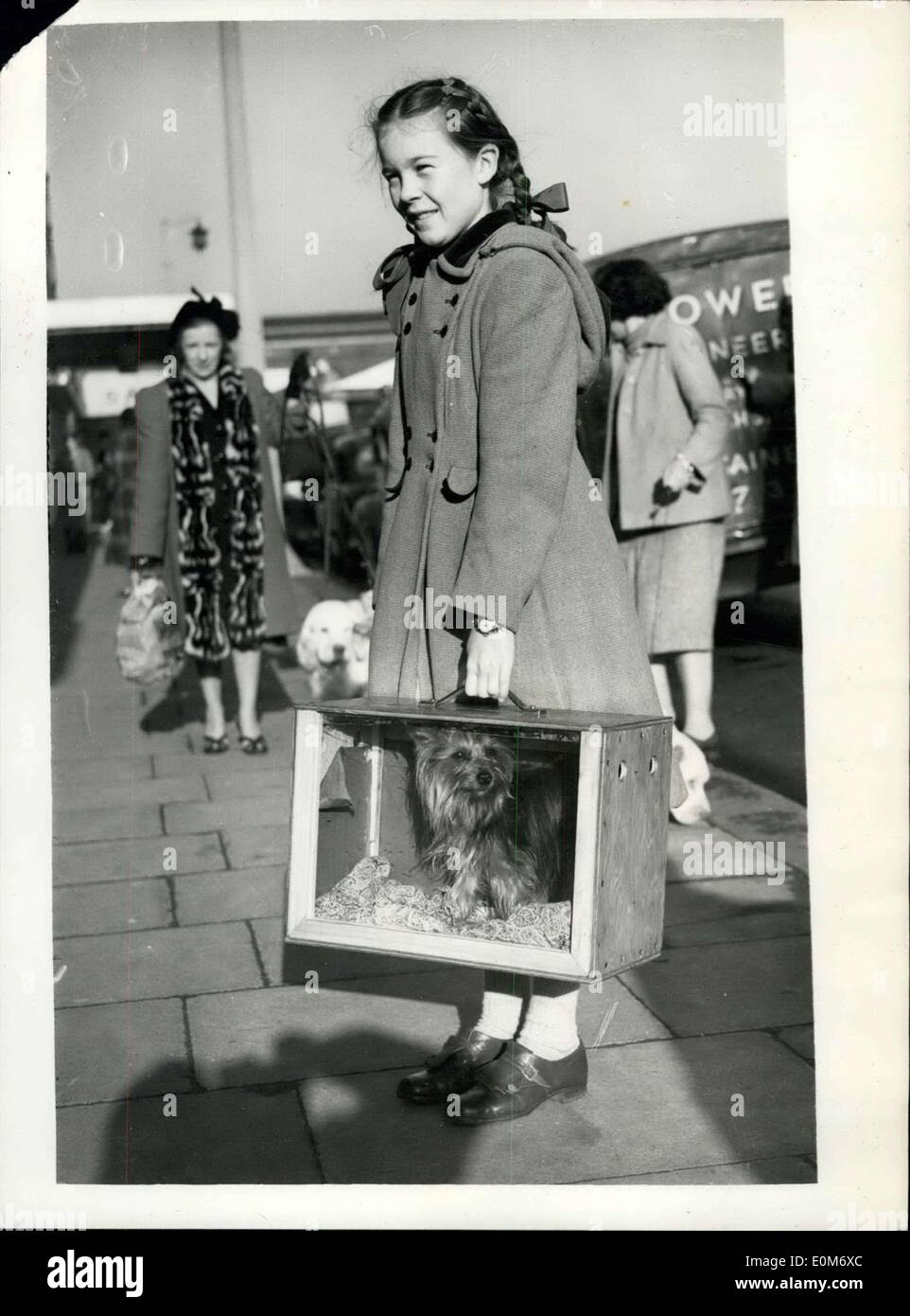 Nov. 04, 1953 Ladies Kennel Association Show At Olympia The Ladies