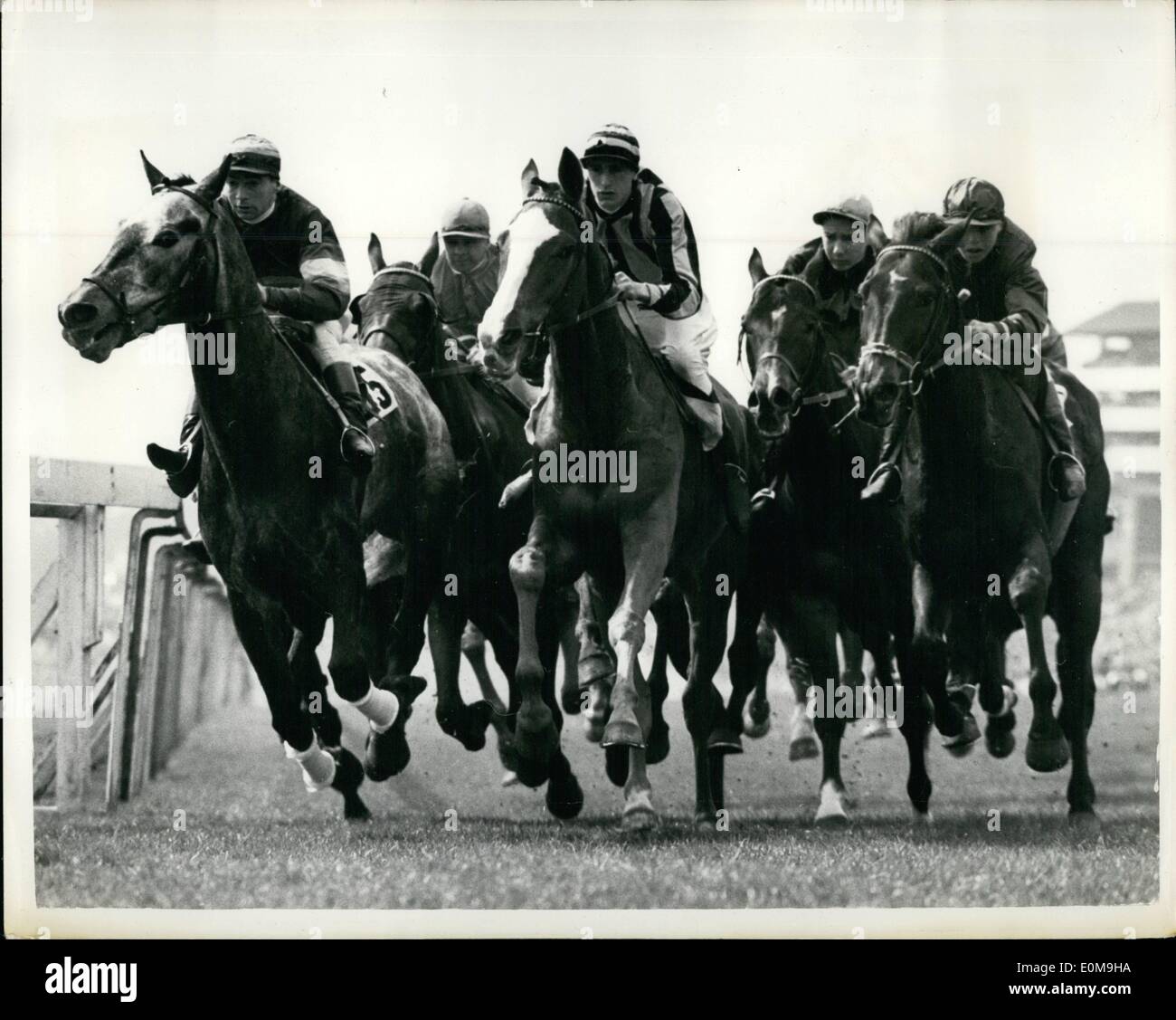 Apr. 04, 1954 - Five Horses - and forty- four hooves: photo shows Five horses that are really eleven horses - the whole field bunched together in a forest of pounding hooves. This was an early moment in the Great Metropolitan Handicap at Epsom Yesterday.(L.to R.) are Kalguli, Nisty Night Evangelist, Pluchind and Lack of Lamb. Stock Photo