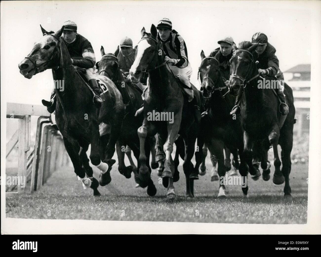 Apr. 21, 1954 - Five Horses-and Forty-four Hooves: Photo shows Five horses that are really eleven horses-the whole field bunched together in a forest of pounding hooves. This was an early moment in the Great Metropolitan Handicap at Epsom yesterday. (L to R) are Kalguli, Misty Night, Evangelist, Pluchino and lack of lamb. Stock Photo