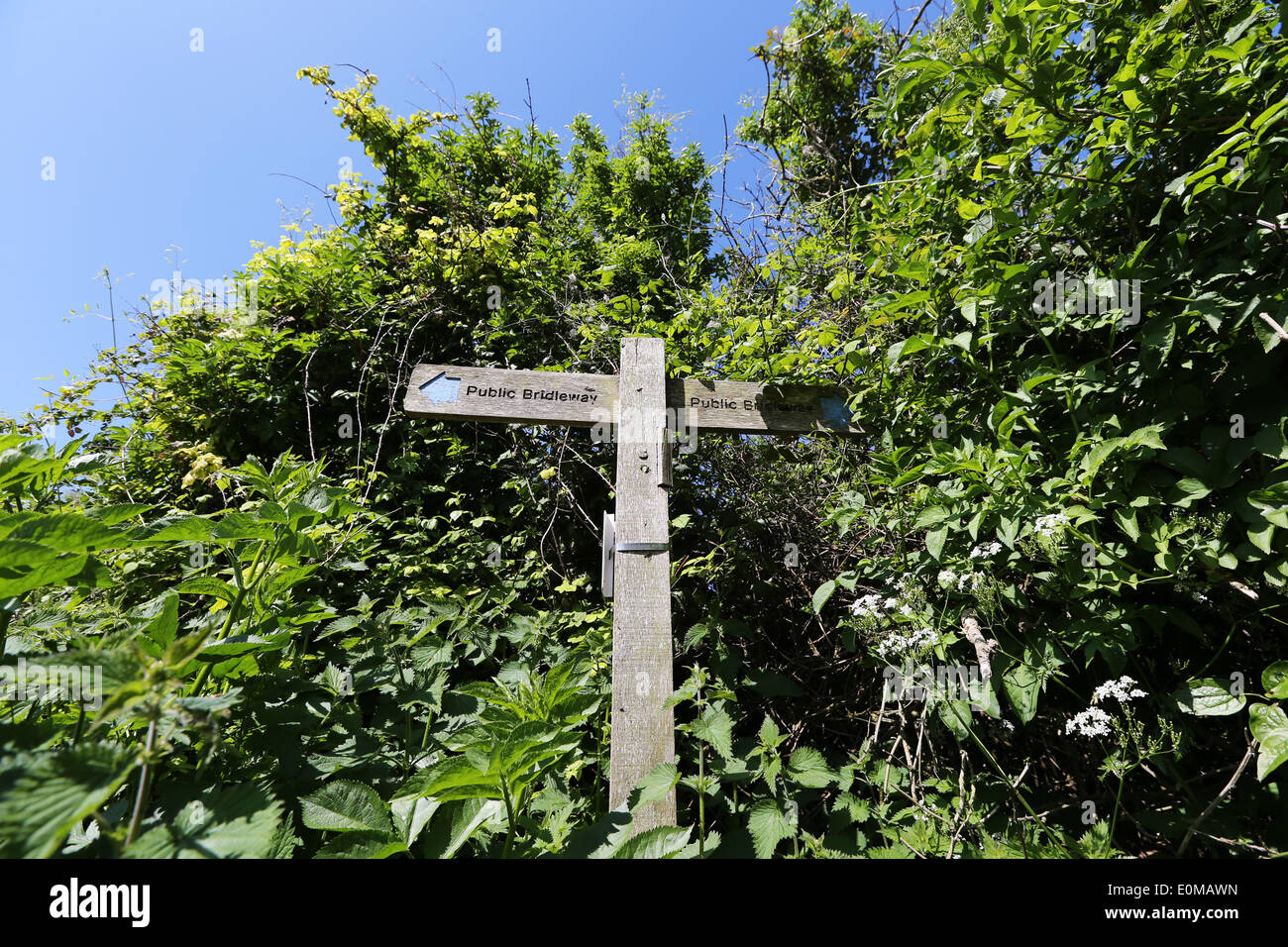 Public Footpath public bridlepath sign The South Downs Stock Photo