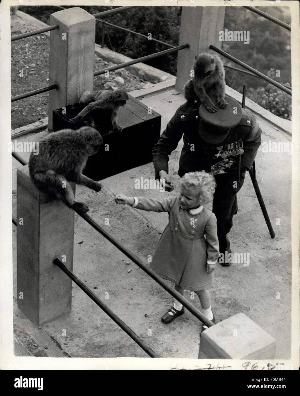 May 12, 1954 - 12-5-54 The Royal children see the Gibraltar apes. Princess Anne has fun. hoto Shows: Princess Anne is Stock Photo