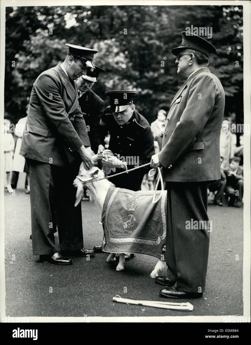 Jul. 07, 1954 - Zoo goat becomes new mascot of the welsh regiment handing over ceremony at the London zoo. Taffy the tenth, a young goat from the London zoo, was handed over to goat major John Tullet to become the new regimental mascot of the first Battalion the welch regiment. His predecessor died last year while serving with the battalion in hone Kong. Fot today's occasion, goat major tullet has come all the way from Hong Kong, where the regiment now is to collect Taffy and instruct him in his regimental duties before the regiment returns to Britain at the end of the year Stock Photo