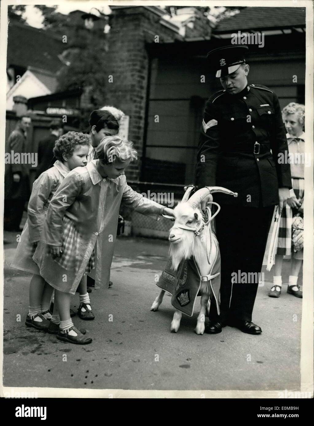 Jul. 10, 1954 - 10-7-54 Zoo goat becomes new mascot of the Welsh regiment. Handing over ceremony at the London Zoo. Taffy the Tenth, a young goat from the London Zoo, was handed over to Goat Major John Tullet to become the new regimental mascot of the First Battalion the Welsh Regiment. His predecessor died last year while serving with the battalion in Hong Kong. For today's occasion, Goat Major Tullet has come all the way from Hong Kong, where the regiment now is, to collect Taffy and instruct him in his regimental duties before the regiment returns to Britain at the end of the year Stock Photo