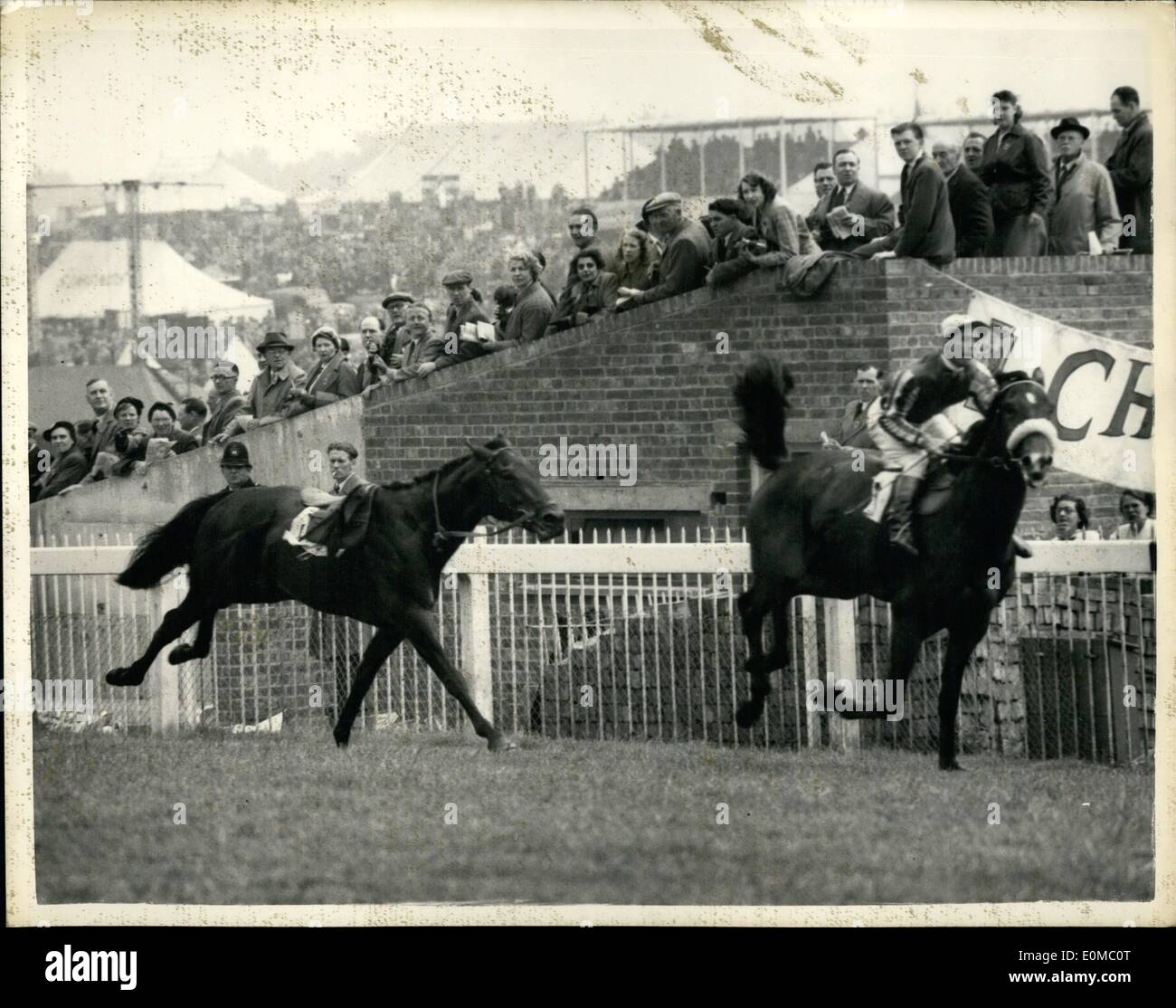 Jun. 06, 1954 - Racing at Epsom Charlie Smirke Unseated: Jockey C. Smirke was unseated from his mount ''Bois Le Roi'', at the Bunbury Stakes at Epsom today - and the horse finished the race riderless. The race was won by alligator11. Picture Shows: The finish of the Bunbury Stakes at Epsom today- Showing Alligator 11 (K.Gethin ) winning, followed by the riderless ''Bois Le Roi' Stock Photo