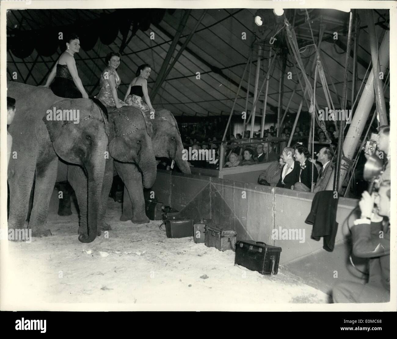 Aug. 08, 1954 - Girous fashion Festival.. Elephant take part. A number of West end Management book part in a unique fashion display of Autoimmune and winter style - midst the animals in the chipper field Citrous Ring- at Blackheath the morning. Keystone photo shows: Wearing evening dresses - as some of the mannequin ride elephants - during the display this morning. They are L-R:- Maureen; Sheila and Doreen. Stock Photo