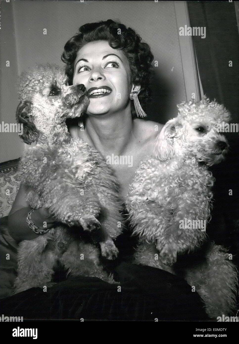 Sep. 21, 1954 - Kiss me Billie said Yvonne de carlo to her two French poodels Billie and Winkie. Yvonne de Carlo arrived in Munich to make film in Munchen-Geise gasteig with the famous film director William Dieterle. She will play in the film ''Feuerzuber'' the first wife of Richard Wagner, Minna Paler. The Hollywood film-star has to grow elder from 25years to 68 years. Stock Photo