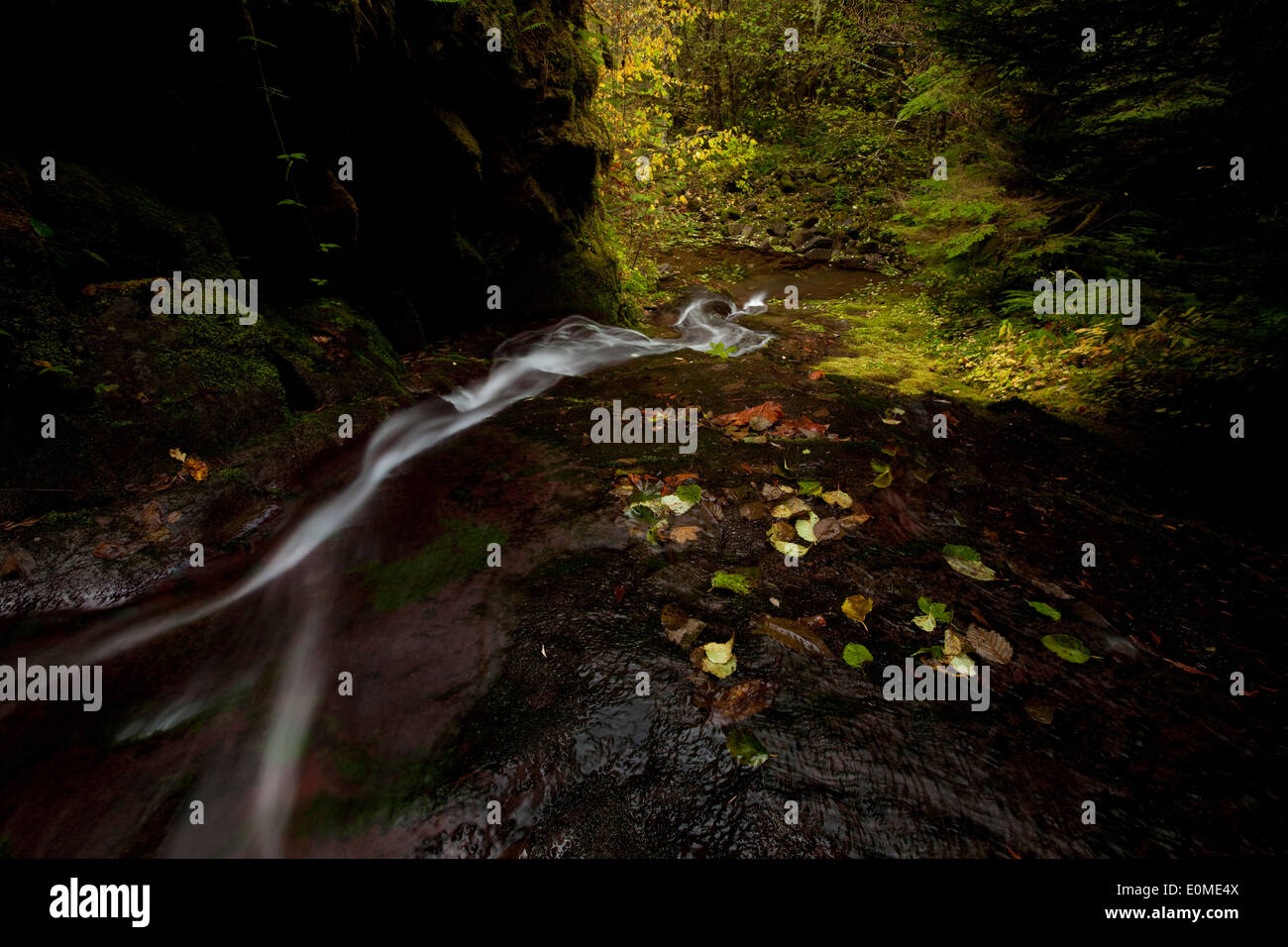 A long exposure blurs a thin waterfall, western Oregon, USA Stock Photo