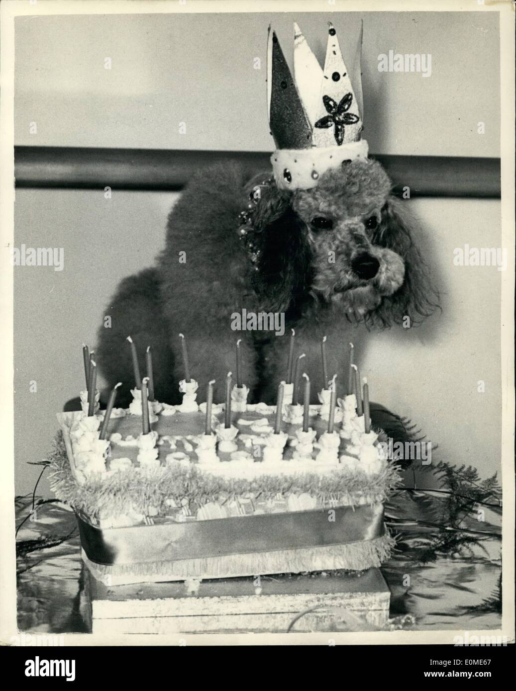 birthday dogs vintage