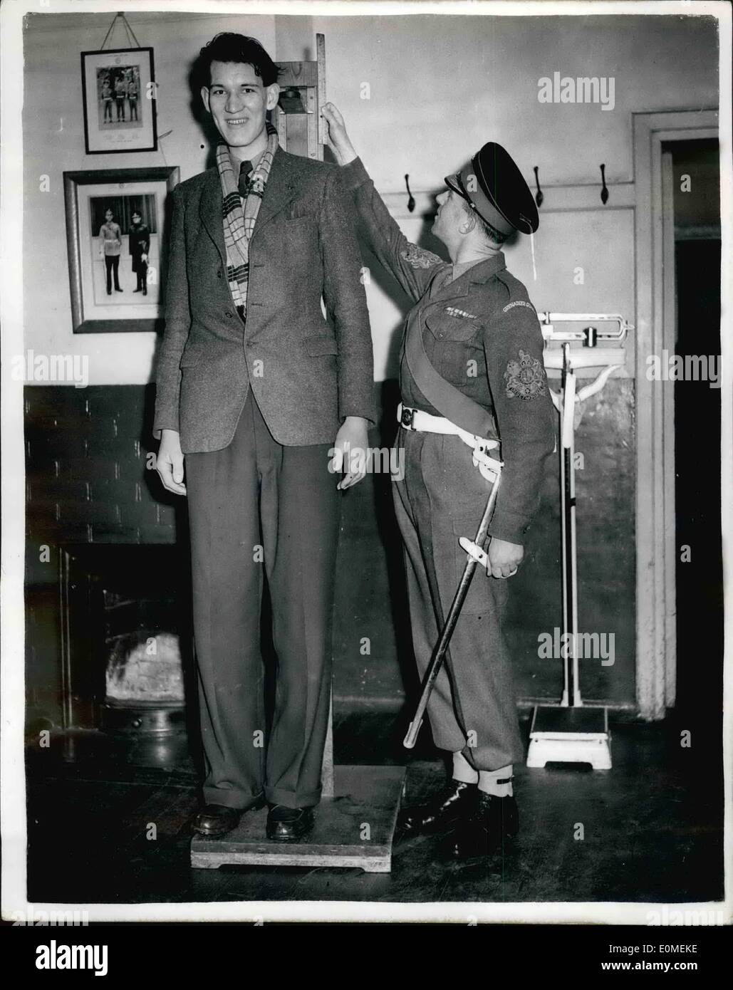 Feb. 02, 1955 - Tallest recruit joins the army.: Believed to be the tallest recruit ever to join the British Army arrived at the Caterham Depot of the Grenadire Guards this afternoon. he is 6ft. 10 1/2 in. Robert Person who has just signed on for a 21 year streton. Owing to his size there was some difficulty in supplying him with a bed and kit. He brought his own boots with him - size 14. Photo shows R.S.M. Nash has to hold an addition to the measuring rule - which measures 6ft. 6ins. - to check Robert Parson's height on his arrival at the depot this afternoon. Stock Photo