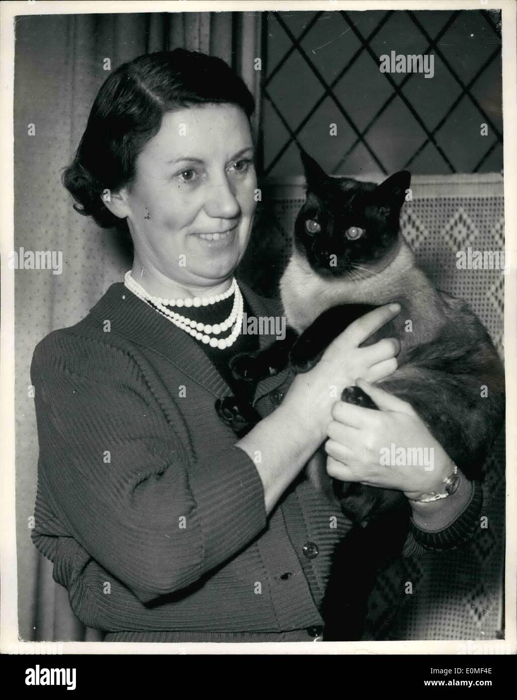 Fran Carlon,Kate Williams (actress) Adult image Izabelle Leite,Angela Lansbury (born 1925 (naturalized American citizen) Kenny Baker (1934?016) Porno videos Susan Stafford,Anna Chandler