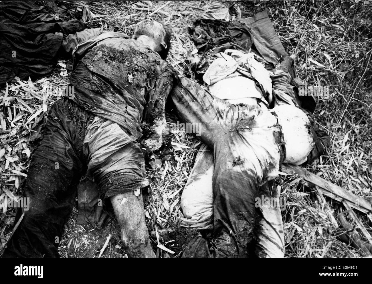 Rotting bodies during Vietnam War Stock Photo