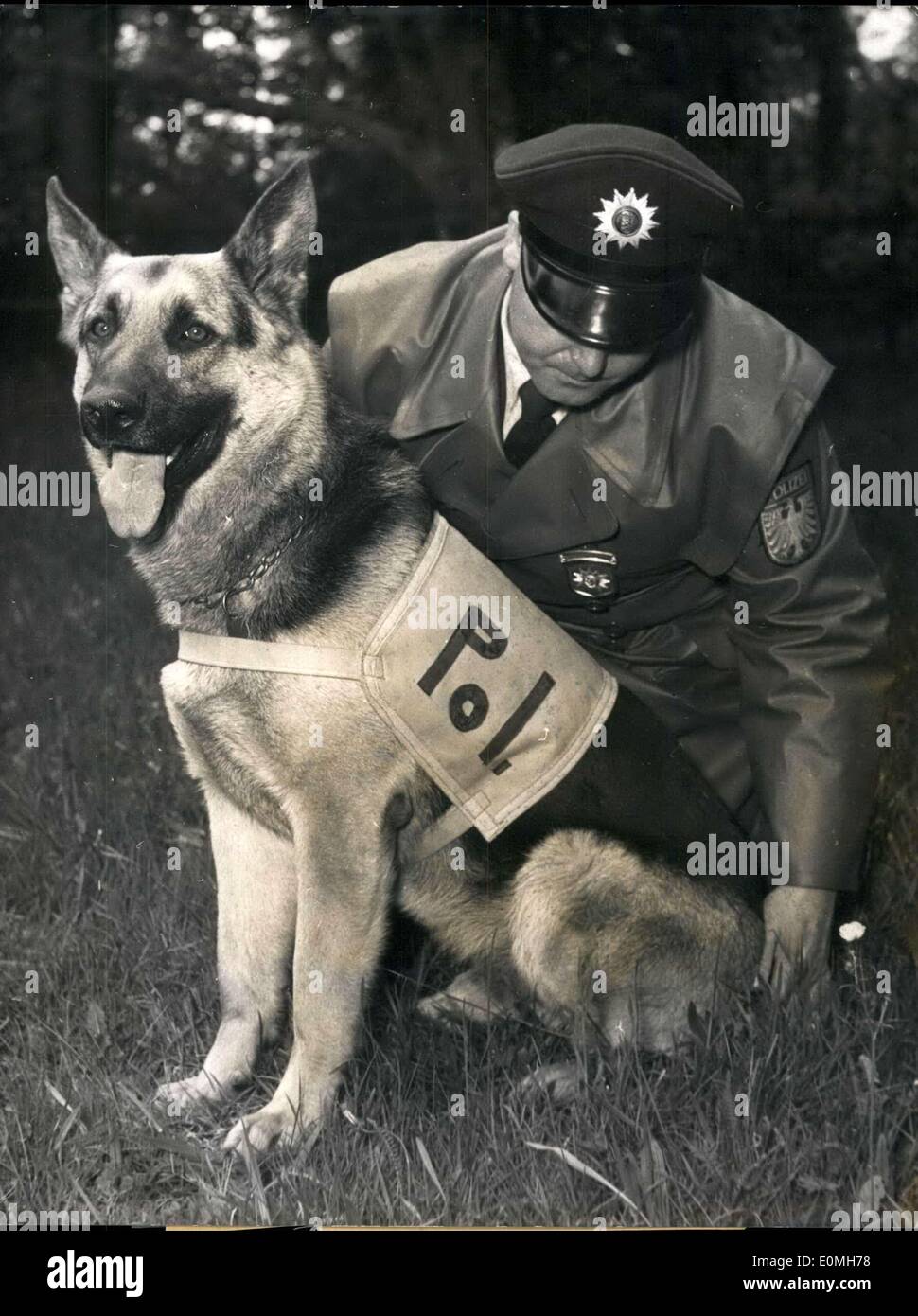 Working with police dogs 2025