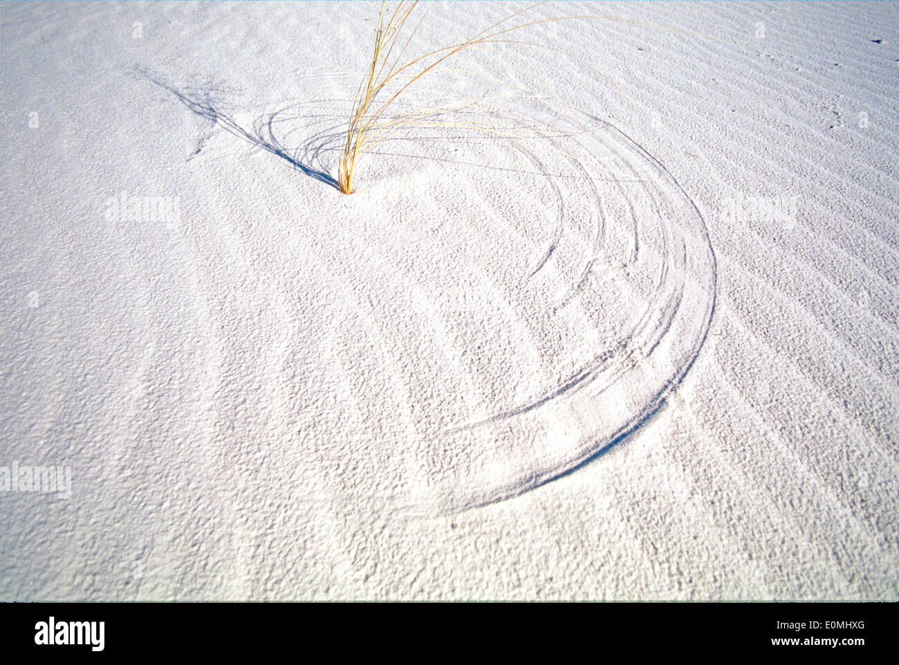 Wind-blown grass etches a circle into the sand, White Sands National Park, New Mexico Stock Photo