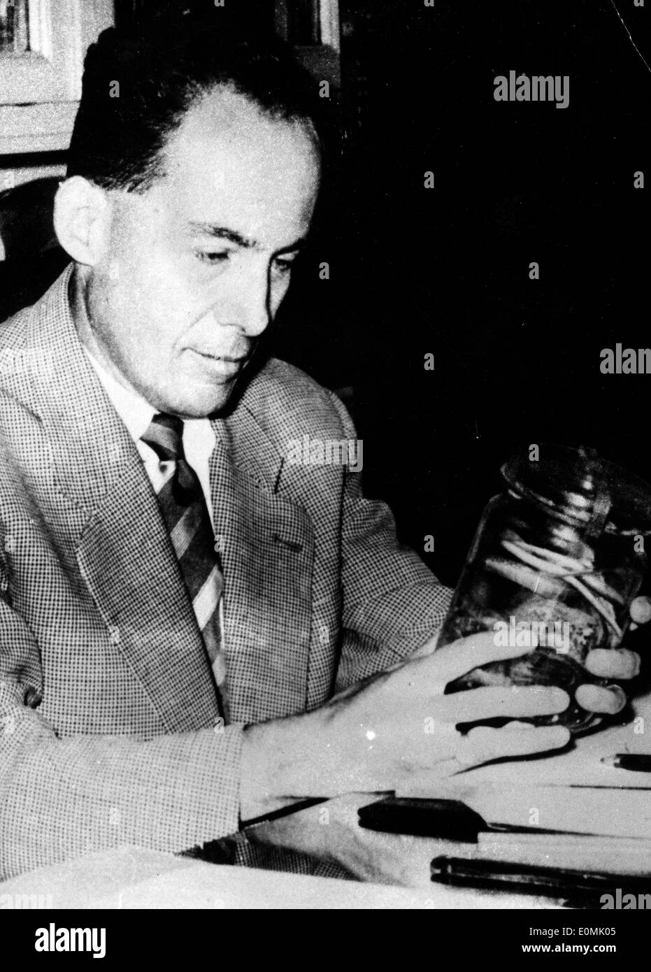 Marine animals Black and White Stock Photos & Images - Alamy