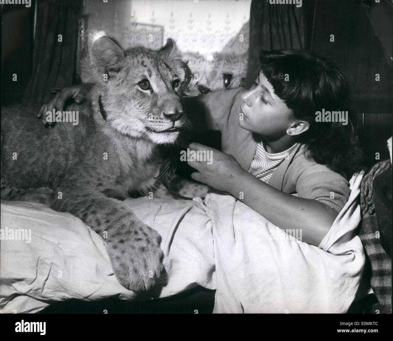 Oct. 10, 1955 - No Pussy Cat For Amelia - She Prefers A Lion: No home is  complete without a cat around the house, but when the house is a caravan and