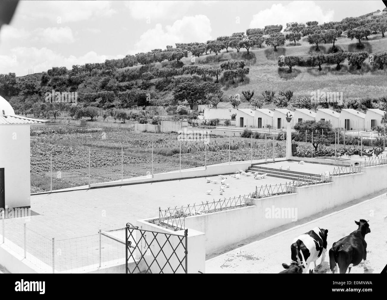 Fábrica Nacional de Sabões, Alverca, Portugal Stock Photo Alamy
