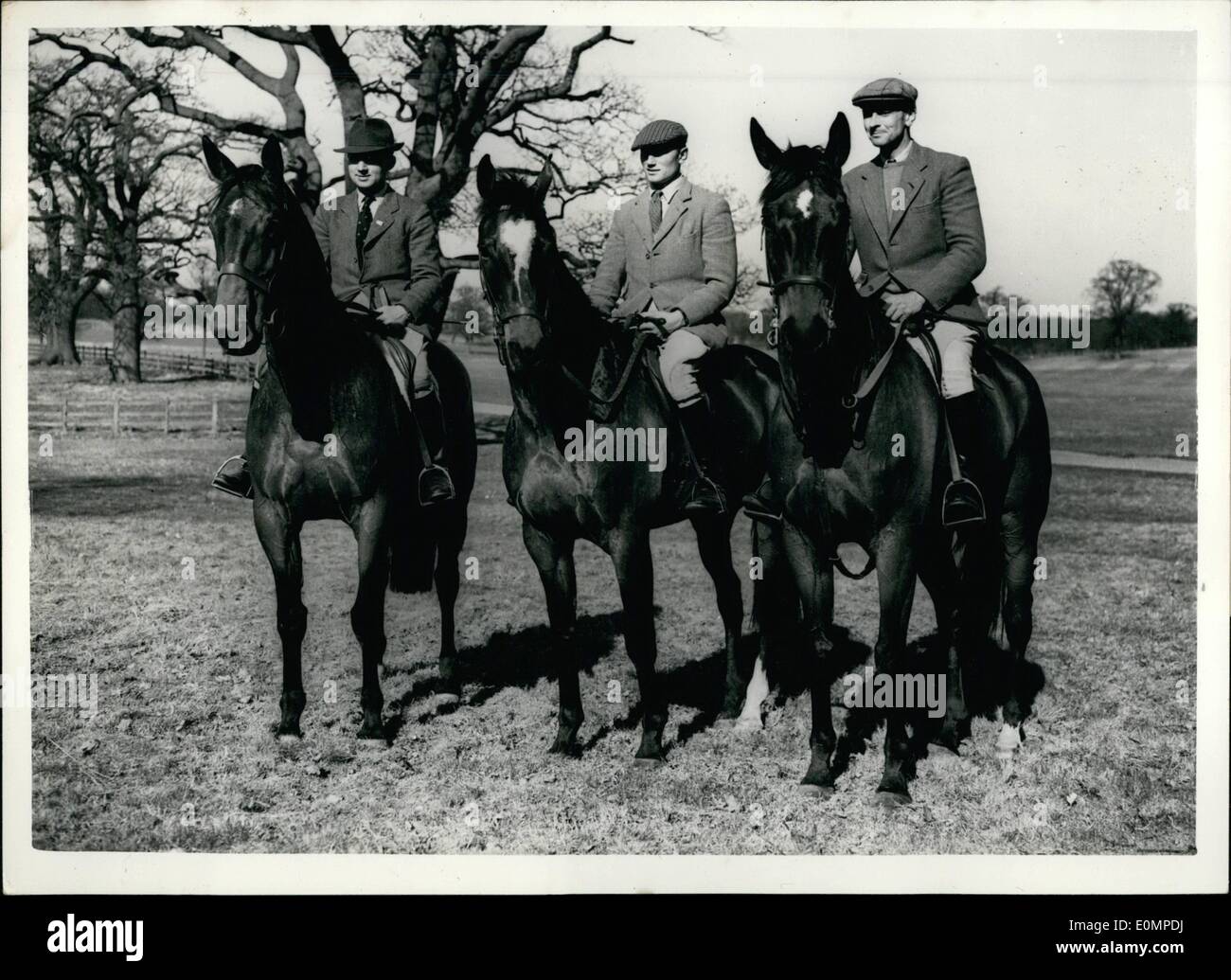 Apr. 04, 1956 - British Equestrian team for Olympic games in training is the Royal news: Horses and Riders of the British Equestrian team for the Olympic game - were to be seen in training in Sindsor Great Park today. keystone photo shows L-R- ''Kilbarry'' ridden by Lieut. Col. F.W.c. Weldon: ''countryman III'' which is owned by H.M. The Queen and ridden by Mr.Bertie Hill; and ''Starlight'' ridden by Major L. Rook - during training at Windsor today. Stock Photo