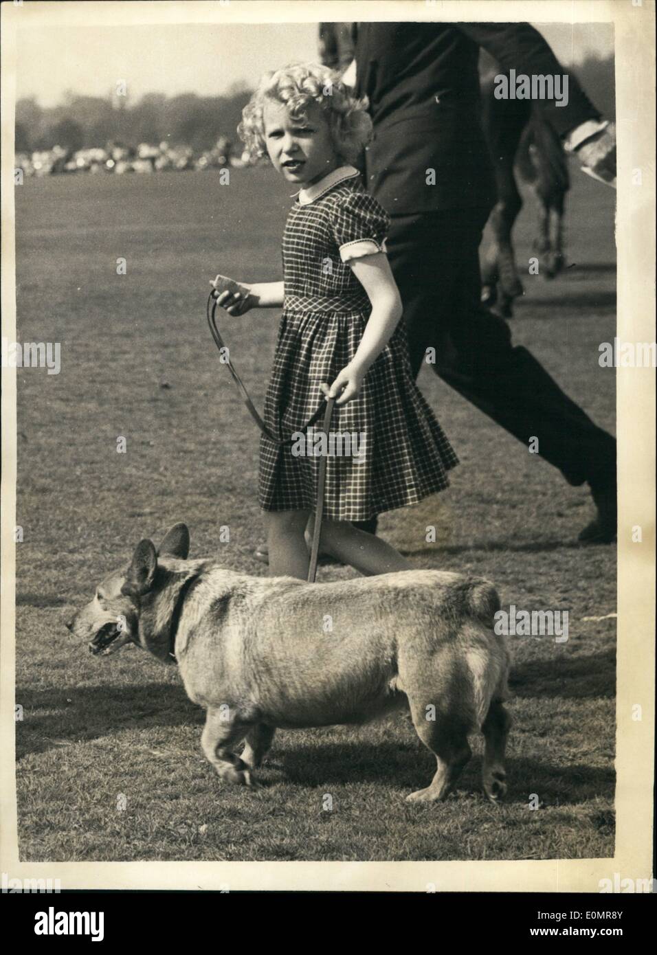 May 05, 1956 - The Duke of Edinburgh plays polo at Windsor the Queen and the royal children attend.: The Duke of Edinburgh played polo on Smith's Lawn in Windsor Great Park this afternoon. The Queen and the two Royal children watched the games. Photo shows Princess Anne take a charge of one of the corgis while watching the polo this afternoon. Stock Photo