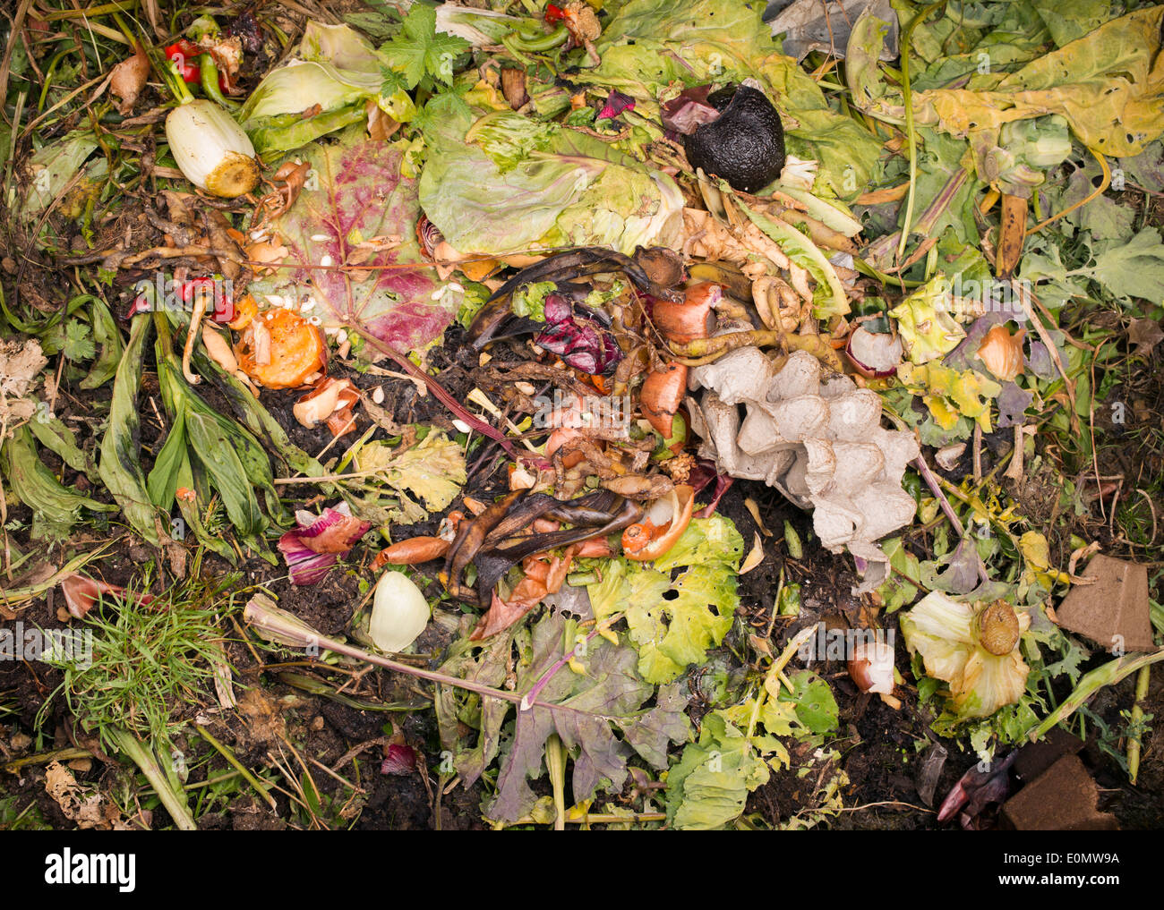 Plant waste hi-res stock photography and images - Alamy