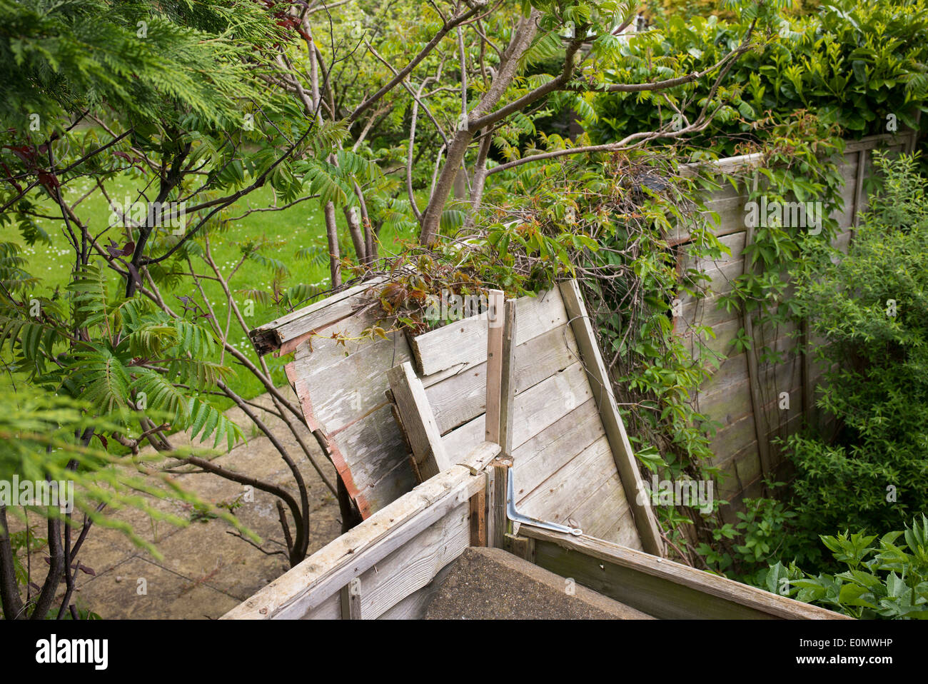 Old Rotten wooden garden fence falling down. England Stock Photo