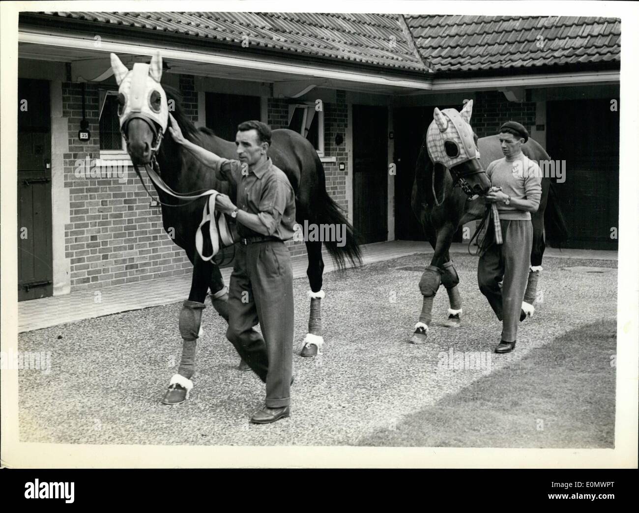Racehorse trainer to the queen hires stock photography and images Alamy