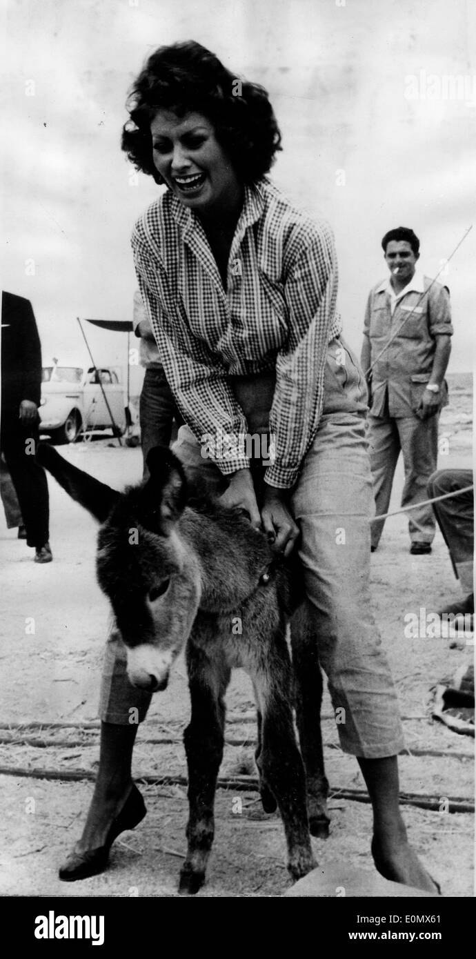 Actress Sophia Loren riding a donkey Stock Photo