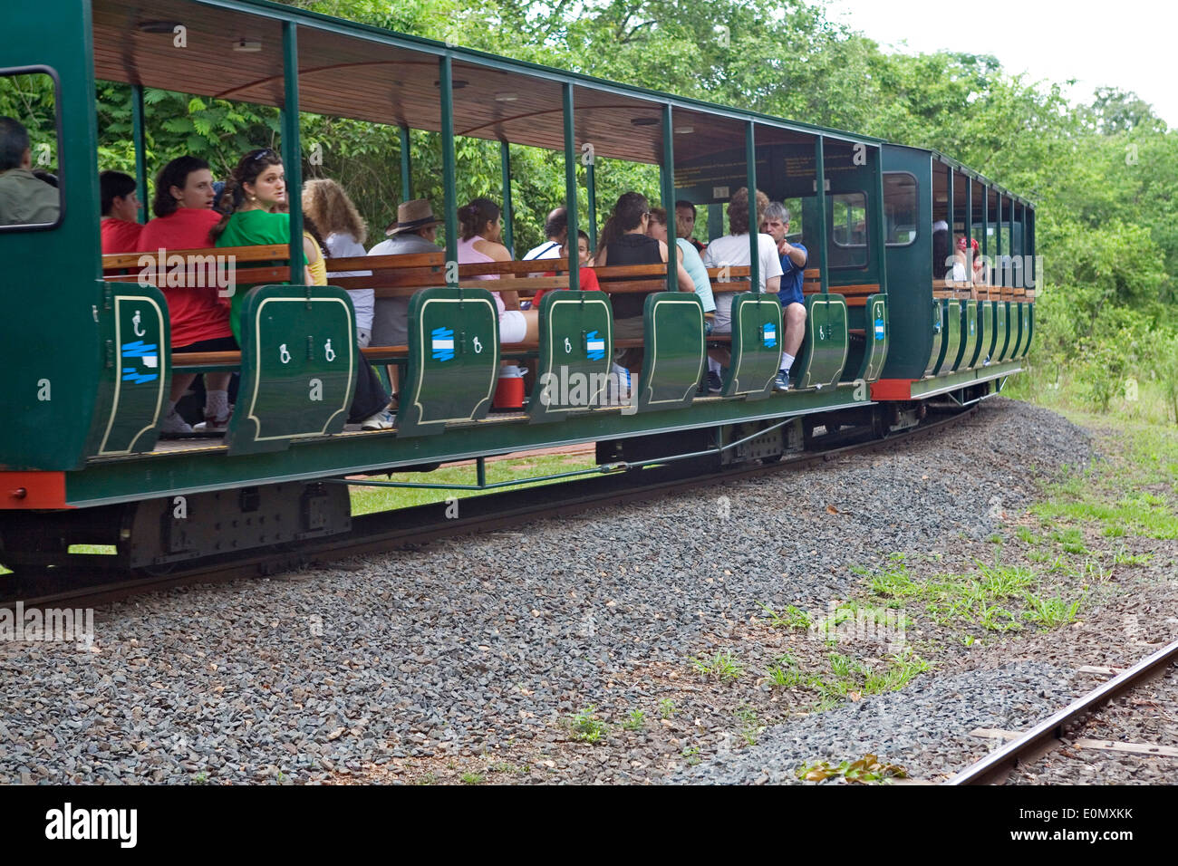 Green Train of the Jungle, Iguazu National Park, Argentina Stock Photo