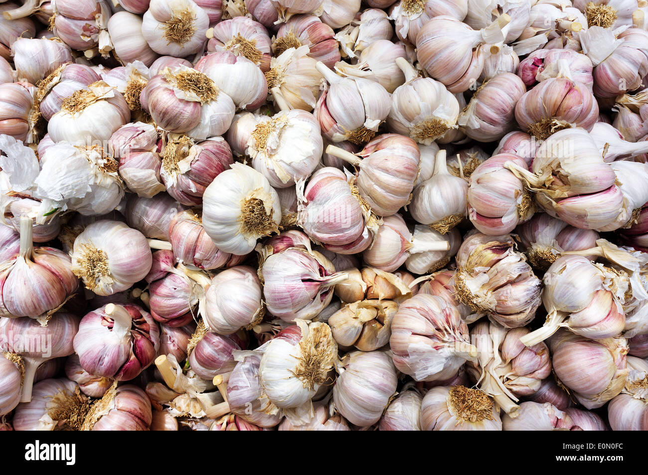 background with many garlic heads Stock Photo Alamy
