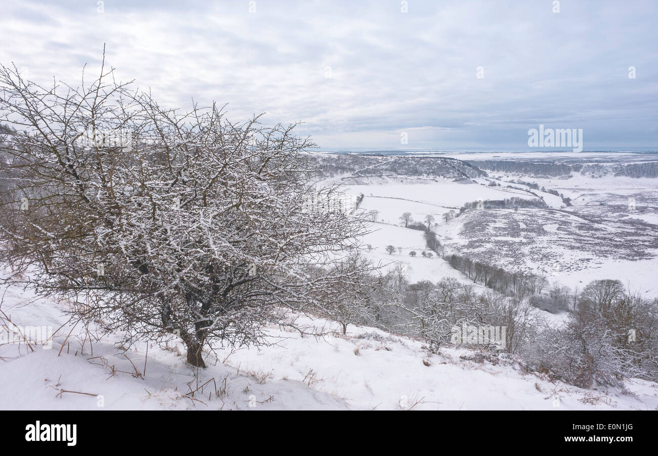 Snow over the Hole of Horcum in the midst of the North York Moors near the village of Goathland, Yorkshire, UK. Stock Photo