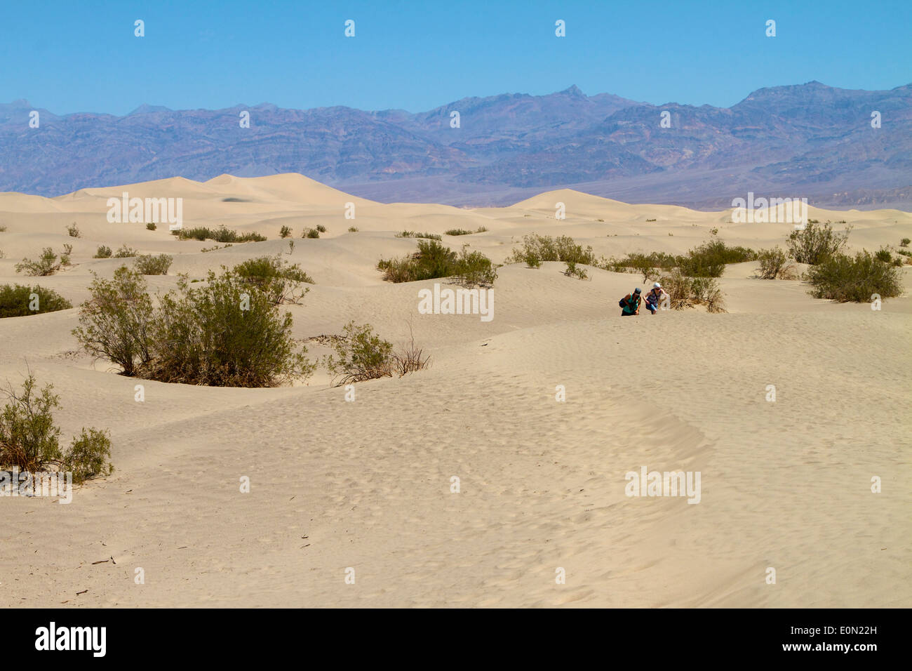 Death valley high temperature hi-res stock photography and images - Alamy