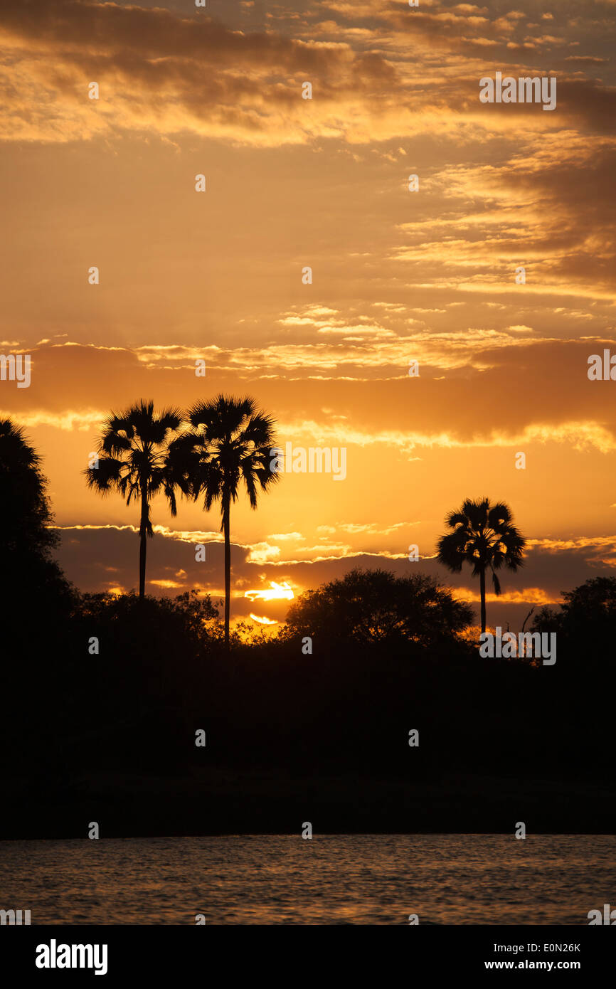 Sunset on the Zambezi River, Zambia, Africa Stock Photo