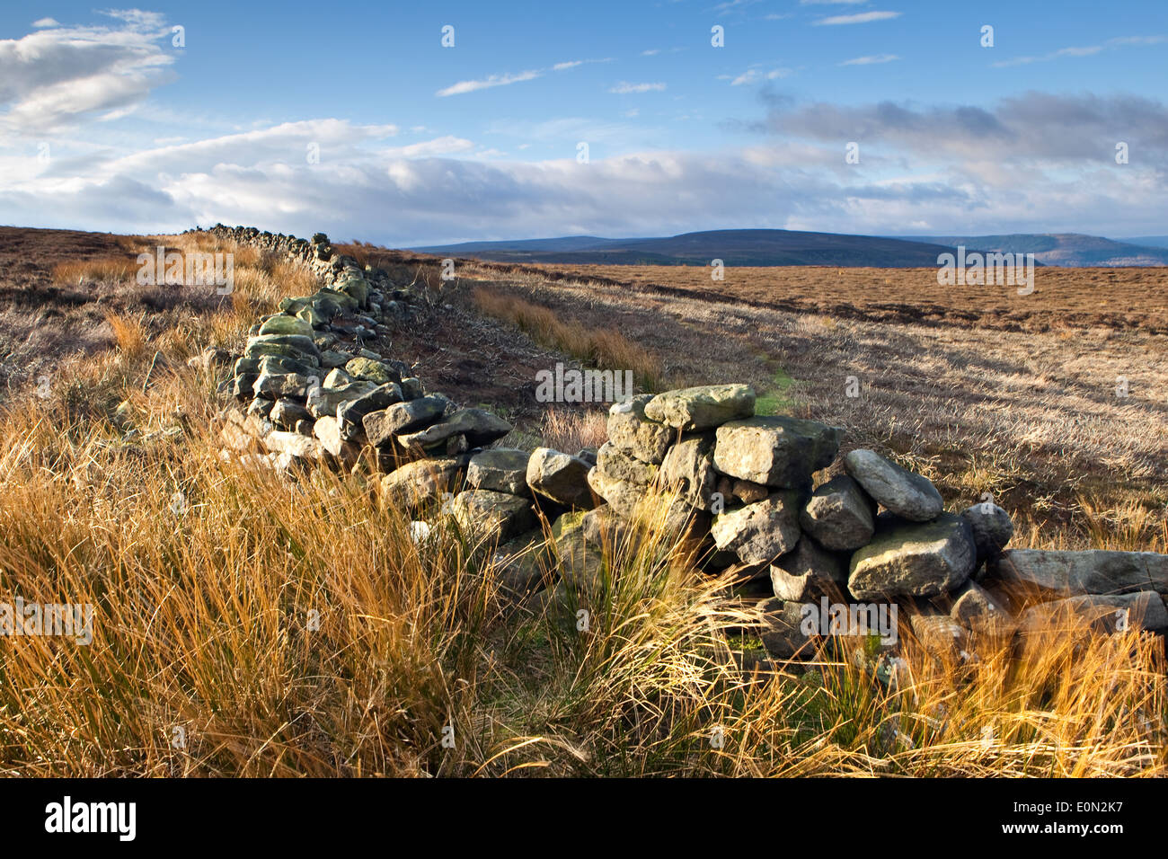 A  view across the North York Moors National Park taken from Warren Moor near Kildale with a traditional stone wall Stock Photo