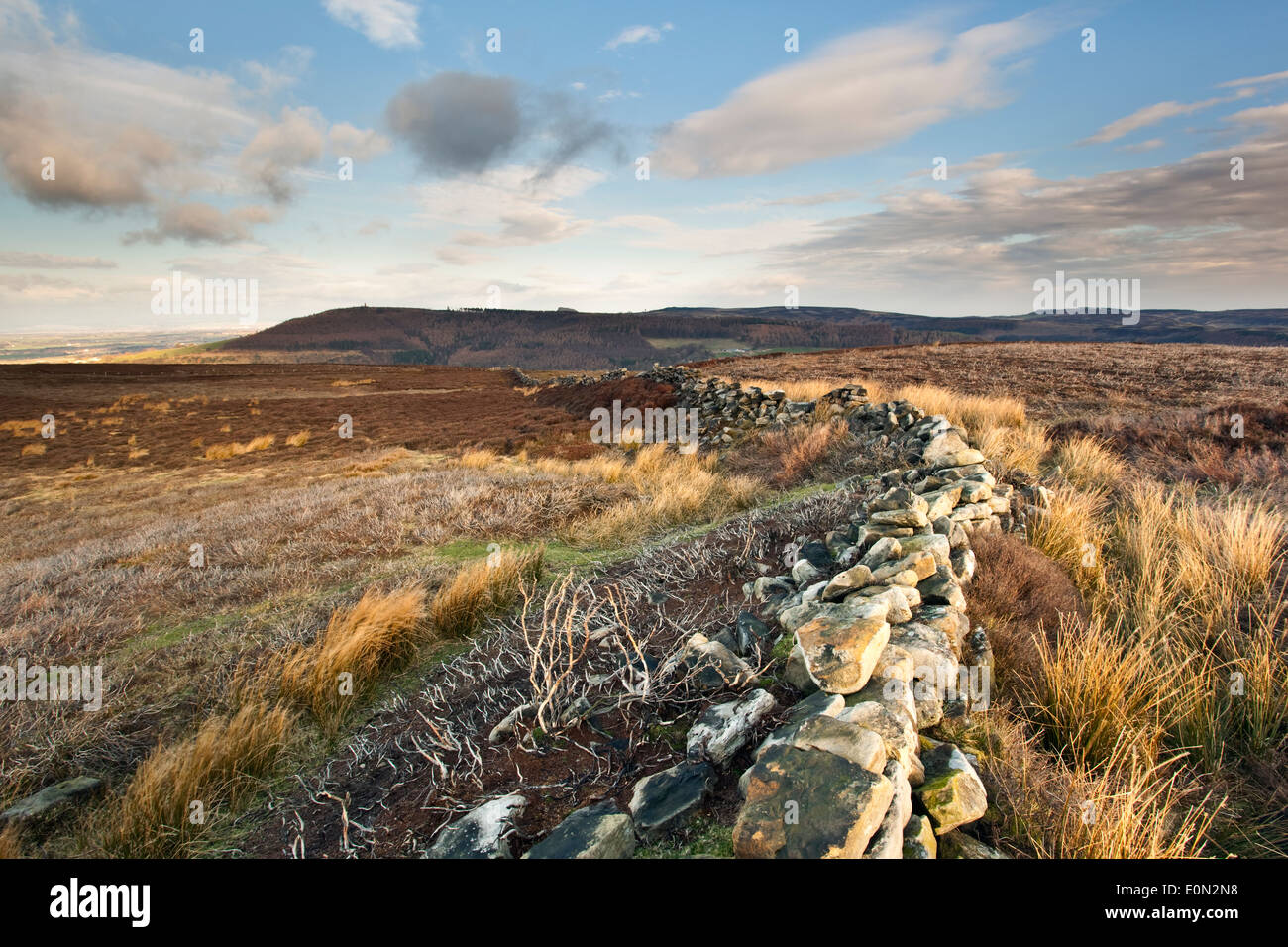 A  view across the North York Moors National Park taken from Warren Moor near Kildale with a traditional stone wall Stock Photo