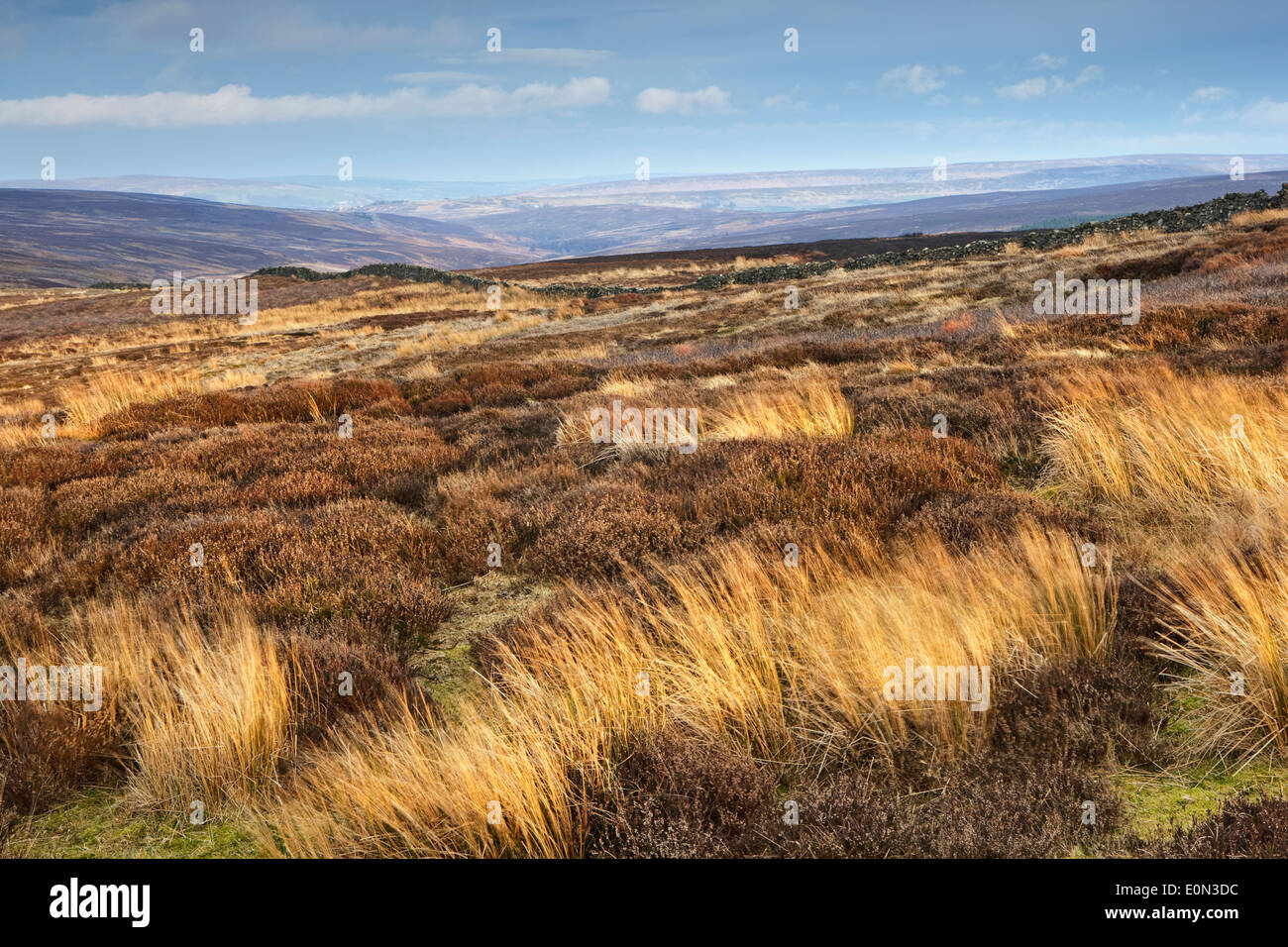 A  view across the North York Moors National Park taken from Warren Moor near Kildale on a windy evening Stock Photo