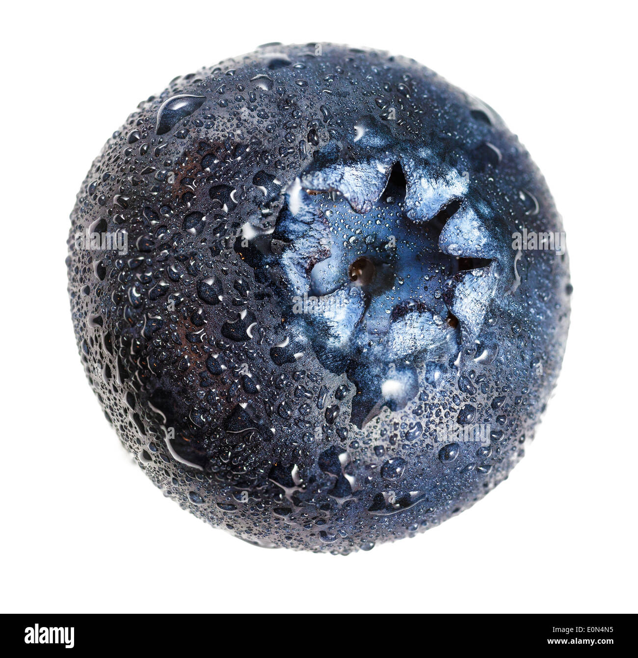 Blueberry with water drops in closeup. Stock Photo