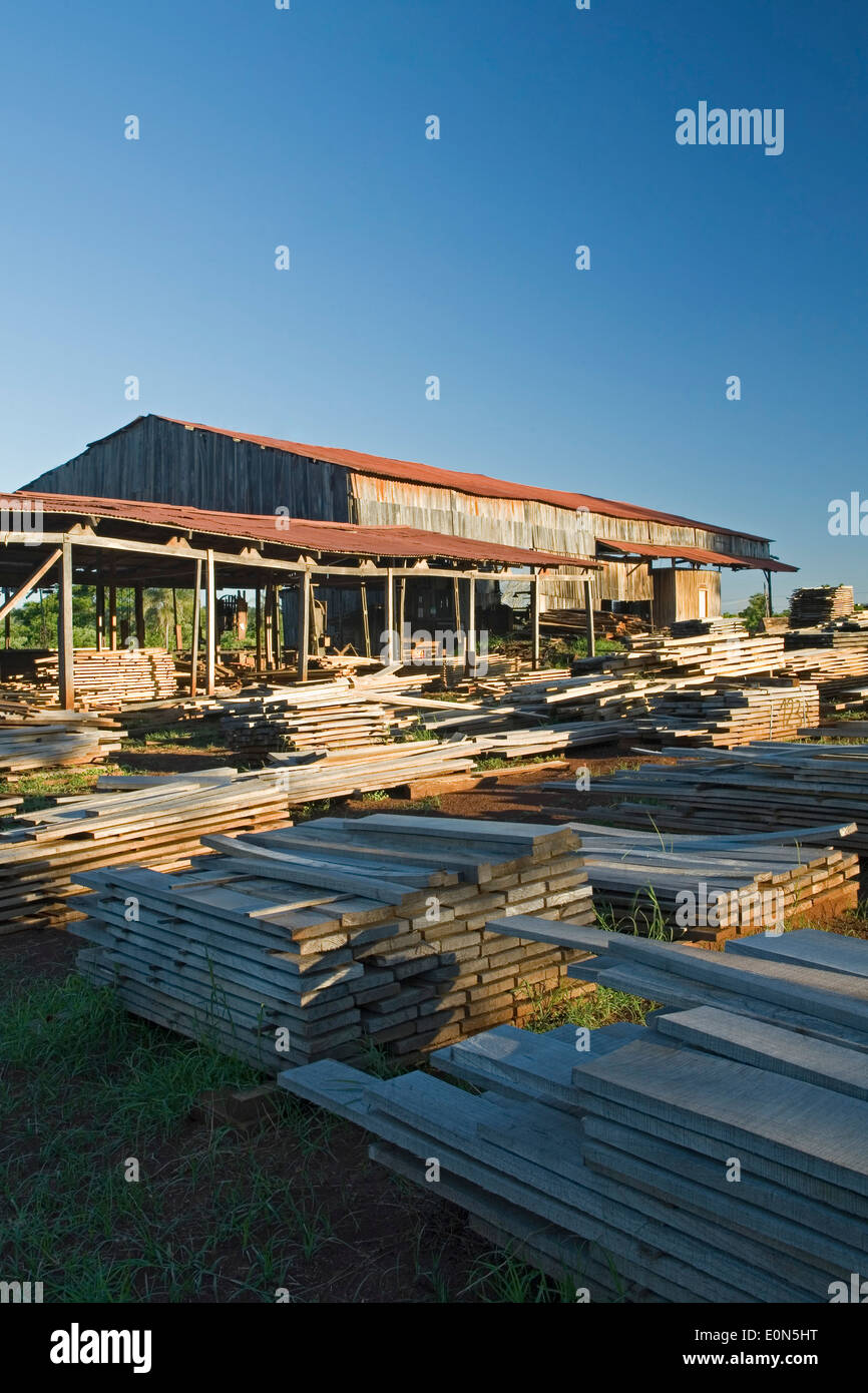 Sawmill, Wanda, Argentina Stock Photo