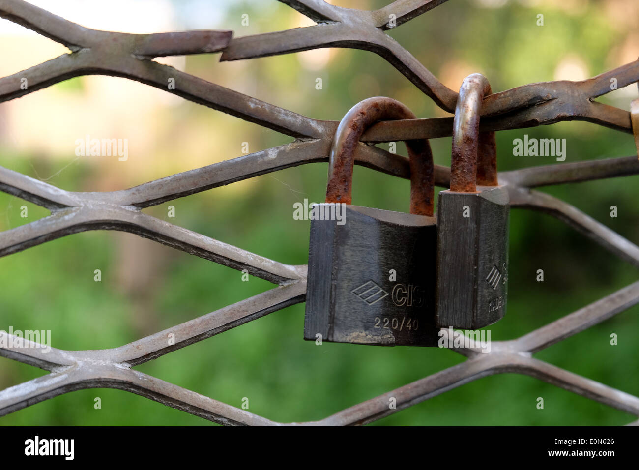 Padlocks on a fence Stock Photo Alamy