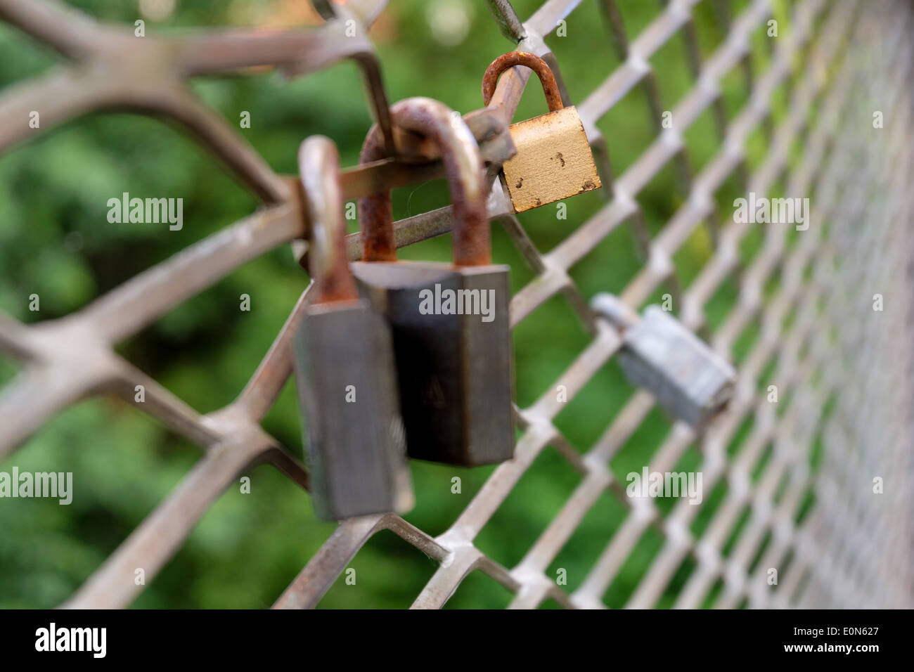 Padlocks on a fence Stock Photo Alamy