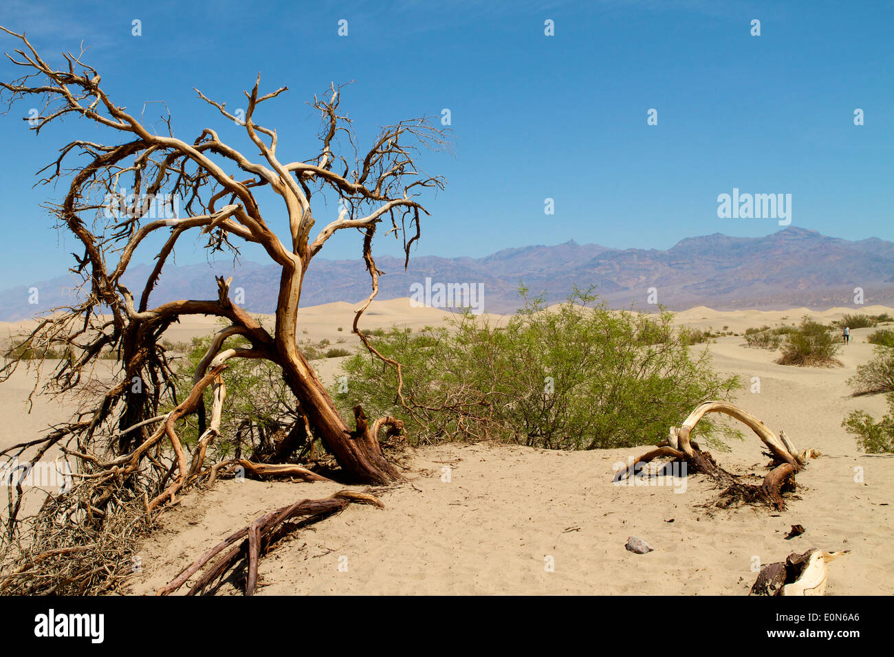 Death valley high temperatures hi-res stock photography and images - Alamy