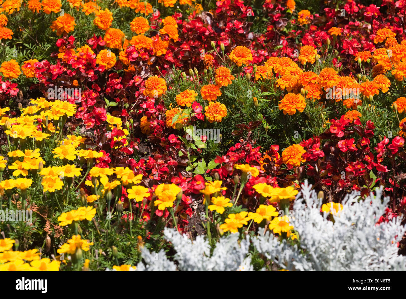 Blumengarten - flower garden Stock Photo