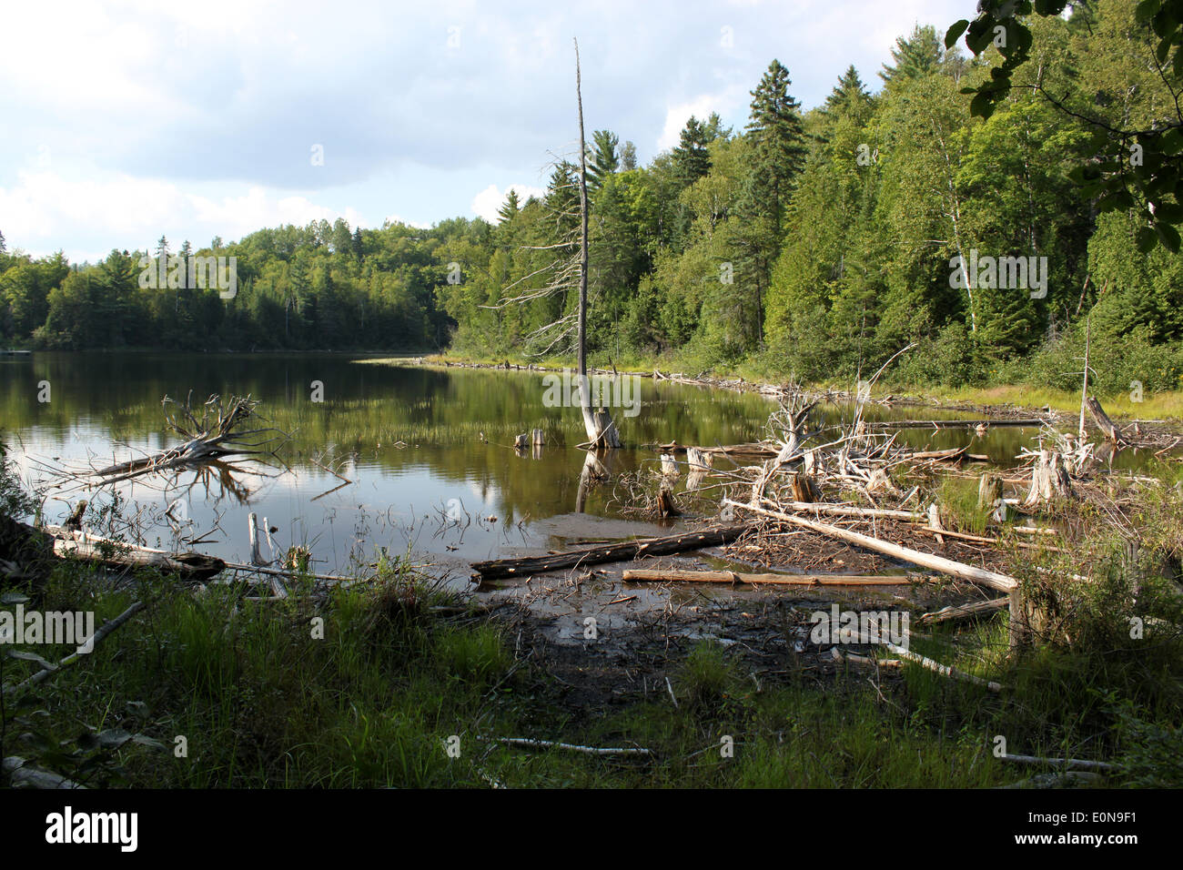 Small lake in cottage country in Quebec, Canada Stock Photo