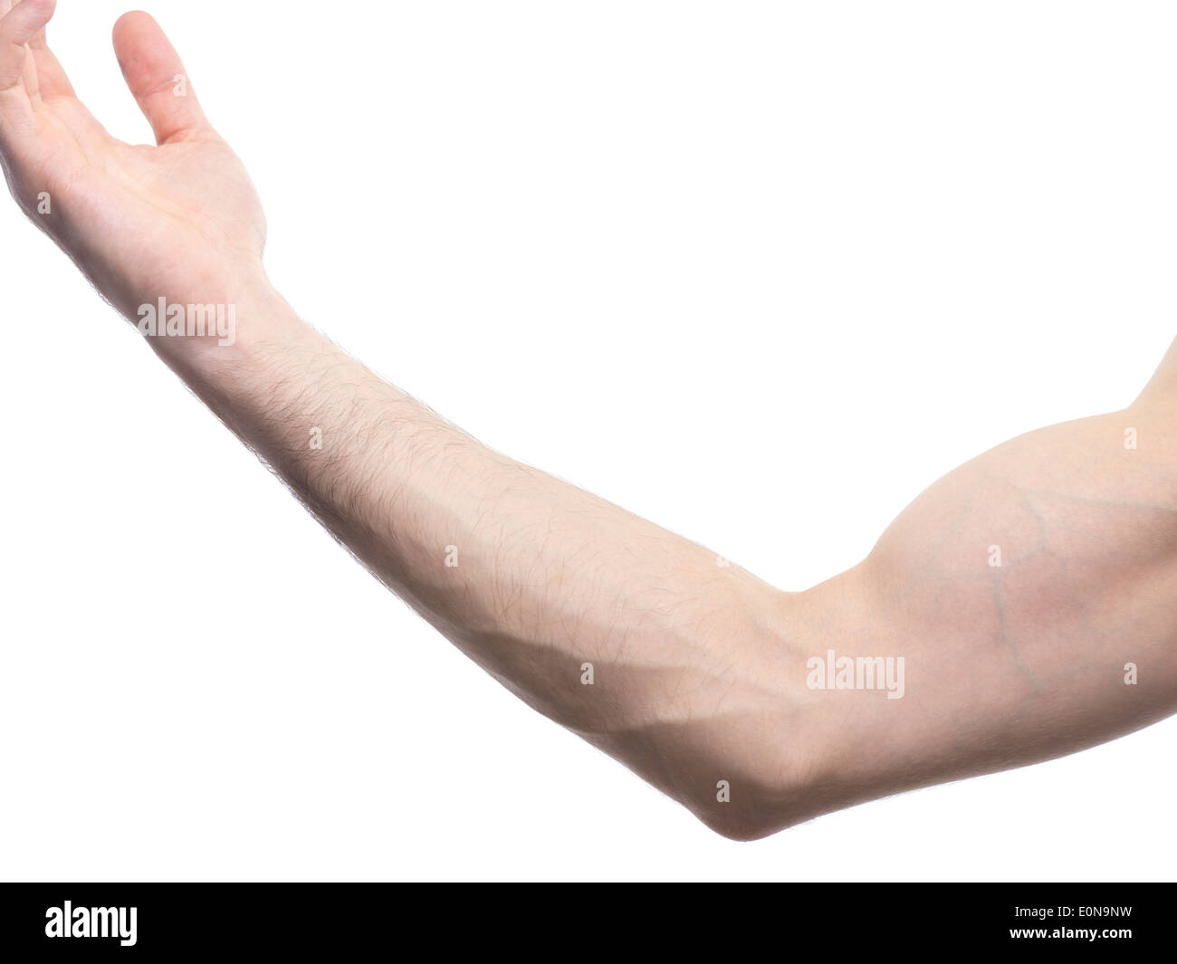 Closeup of male bare arm elbow and biceps isolated on white Stock Photo