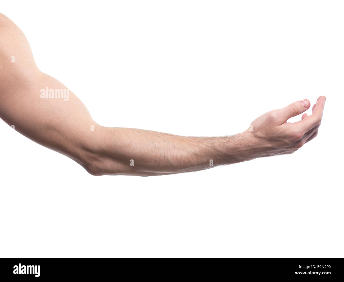 Man arm bent at an elbow with open palm facing up isolated on white background Stock Photo