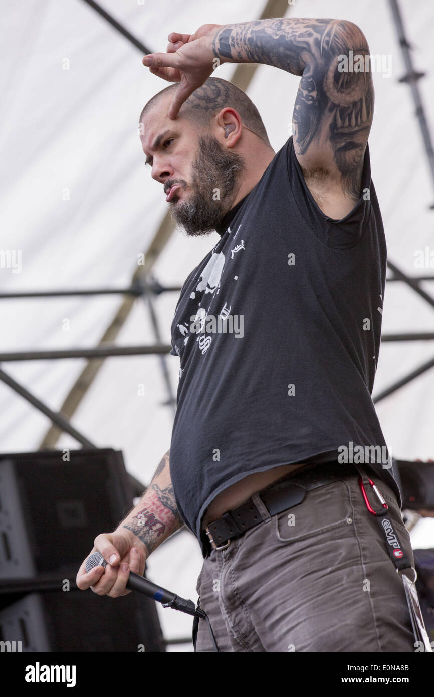 Down anselmo cheap
