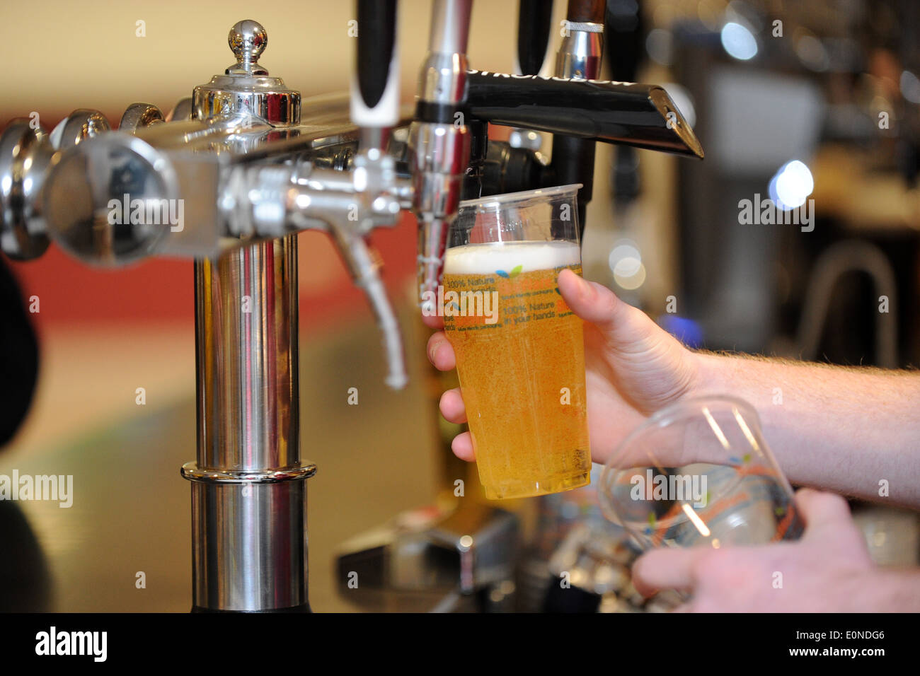 A girl pulls a pint of beer / lager in a pub. Stock Photo