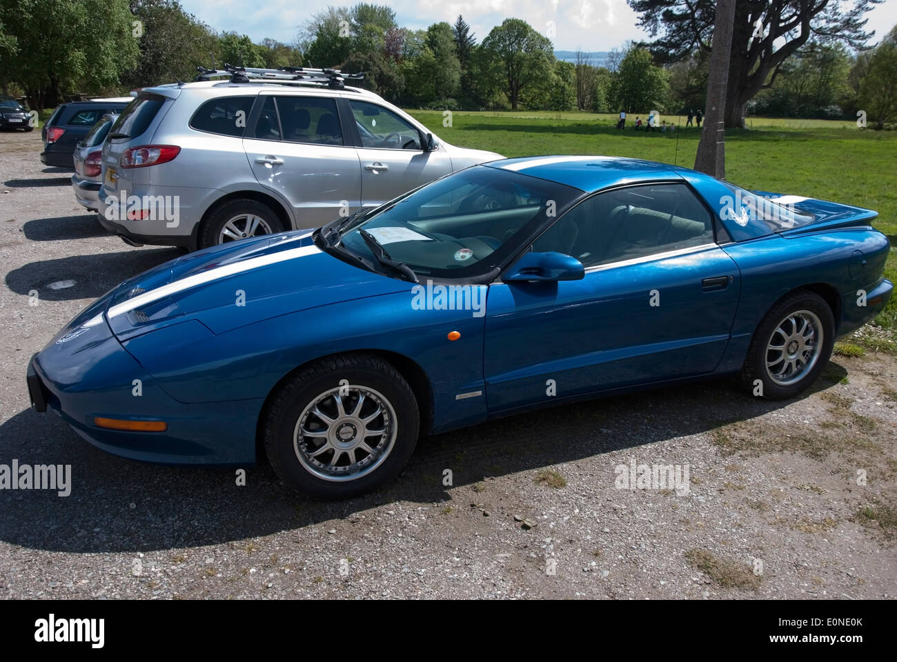 1994 Model Royal Blue Pontiac Firebird Limited Edition Motor Car Stock Photo