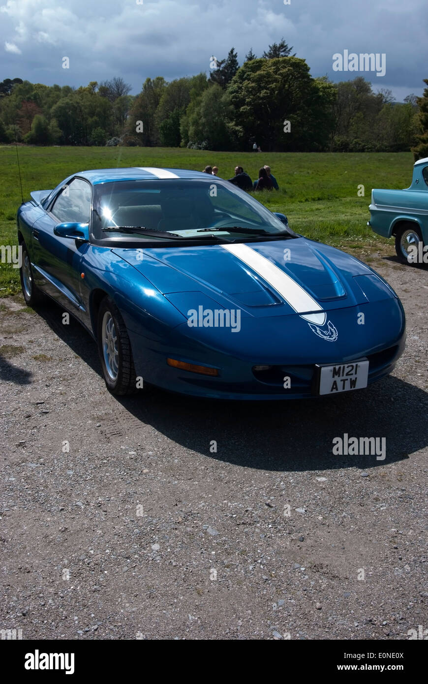 1994 Model Royal Blue Pontiac Firebird Limited Edition Motor Car Stock Photo